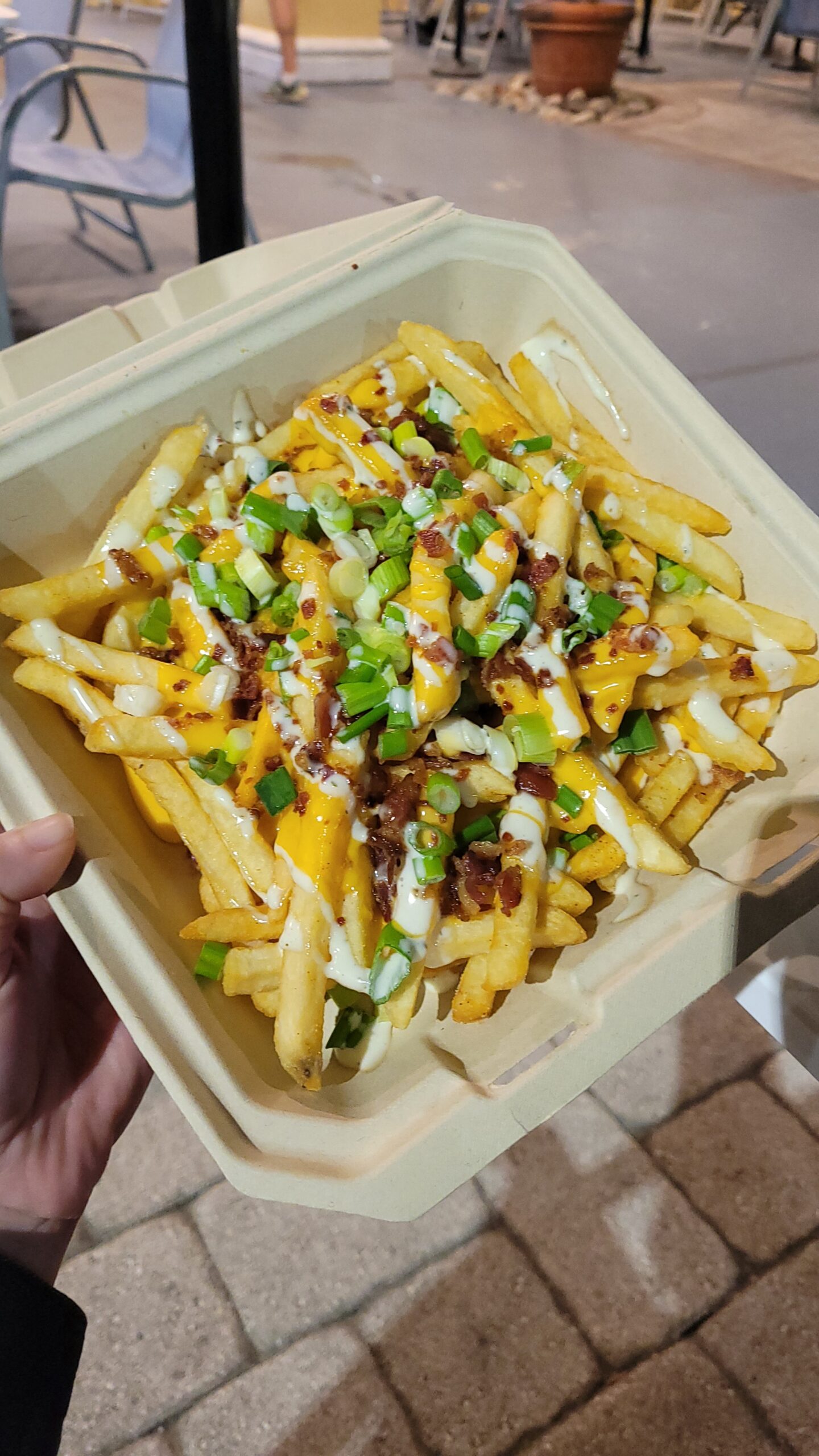 A person holds a container with fries topped with cheese, bacon bits, green onions, and a drizzle of sauce.