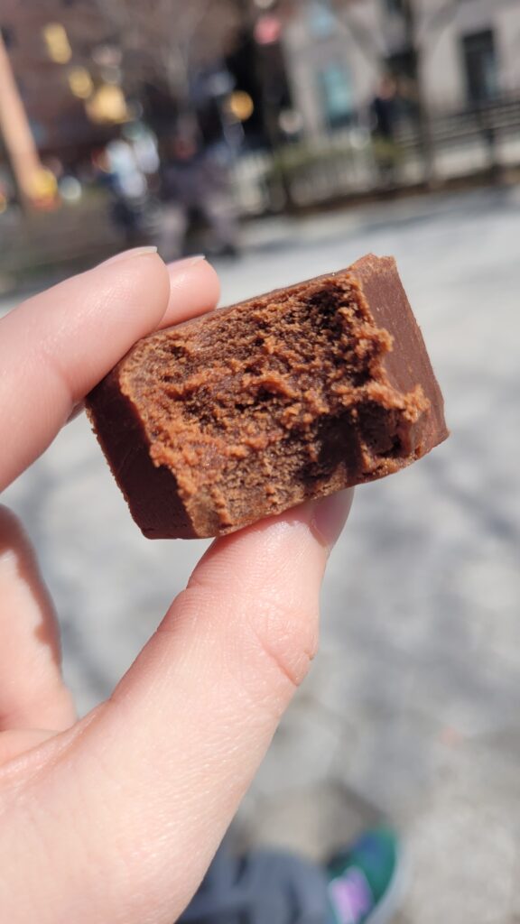 A hand holds a partially bitten piece of chocolate fudge in an outdoor setting.